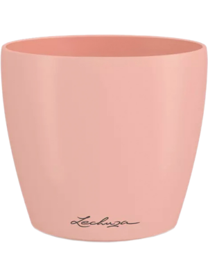 Lechuza Classico Color Deco 14
