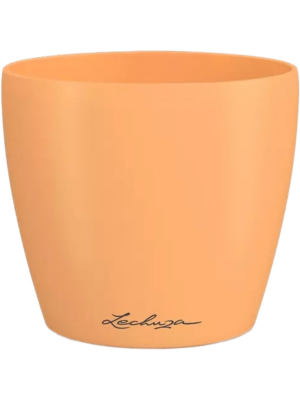 Lechuza Classico Color Deco 14