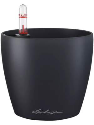 Lechuza Classico Color 12