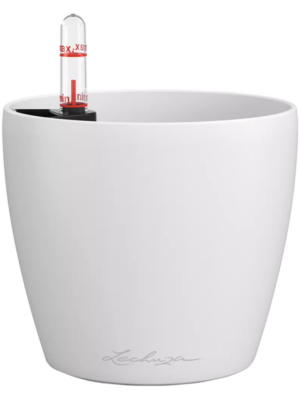 Lechuza Classico Color 12