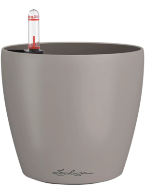 Lechuza Classico Color 12