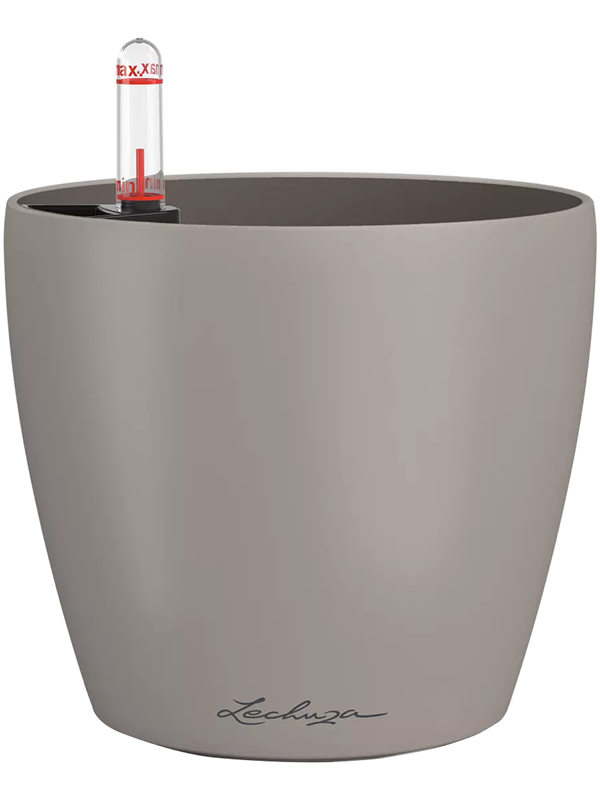Lechuza Classico Color 12