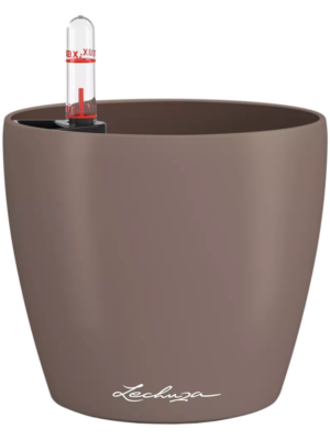 Lechuza Classico Color 12