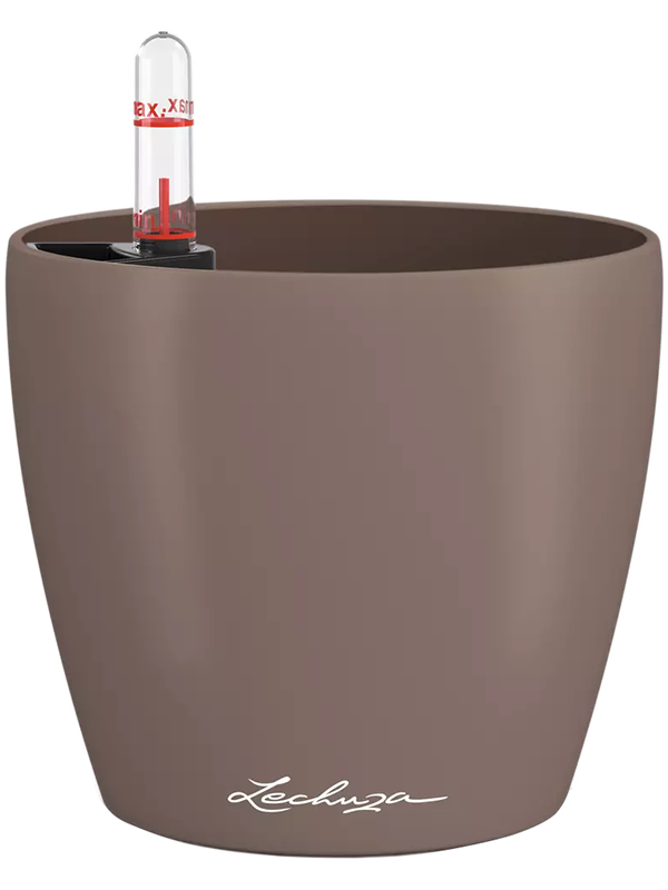 Lechuza Classico Color 12
