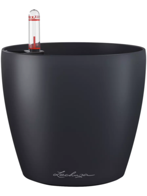 Lechuza Classico Color 14