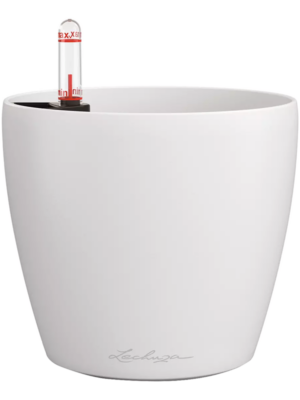Lechuza Classico Color 14