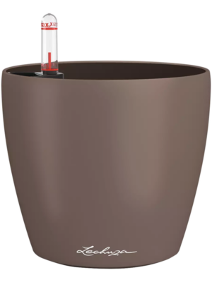Lechuza Classico Color 14
