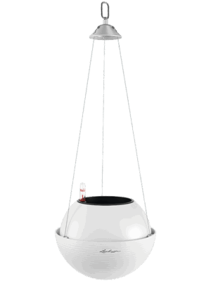 Lechuza Bola Color 23