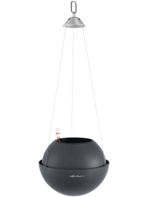 Lechuza Bola Color 23
