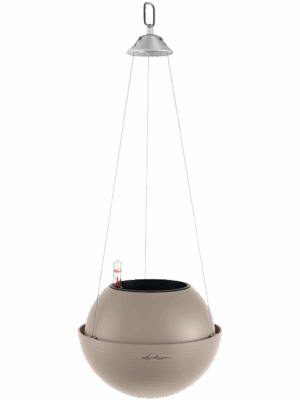 Lechuza Bola Color 23