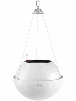 Lechuza Bola Color 32