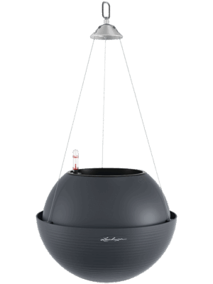 Lechuza Bola Color 32