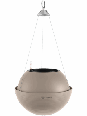 Lechuza Bola Color 32