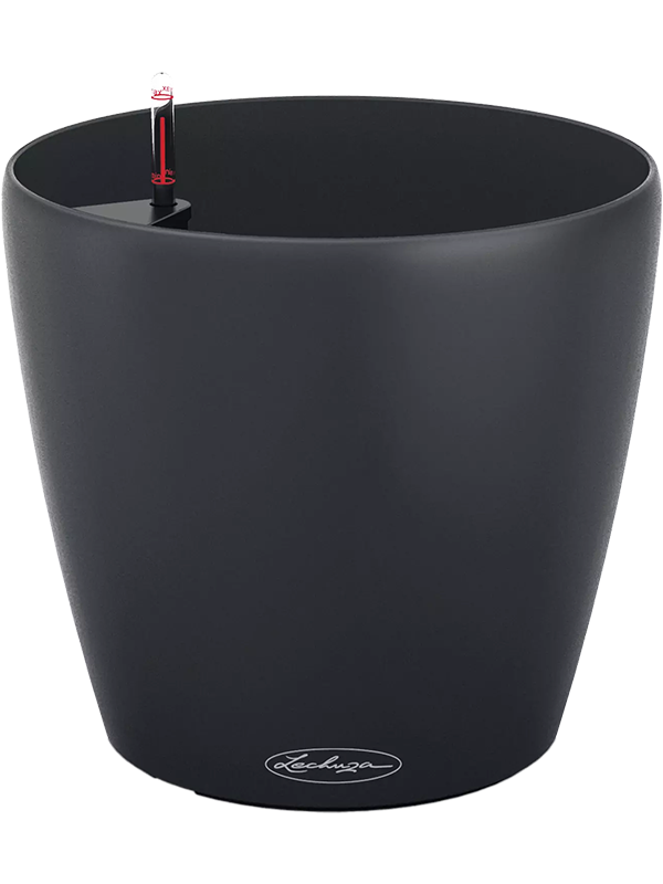 Lechuza Classico Color Eco 60