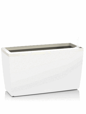 Lechuza Cararo Frame