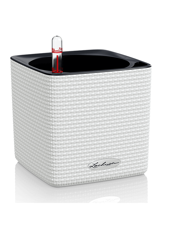 Lechuza Cube Color 14