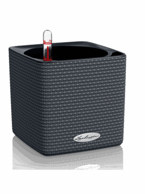 Lechuza Cube Color 14
