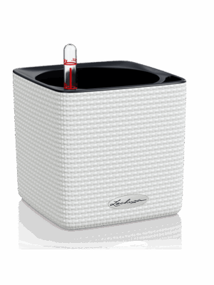 Lechuza Cube Color 16