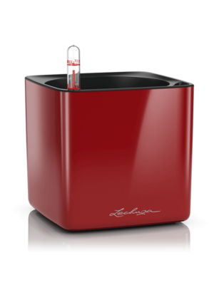 Lechuza Cube Glossy 14