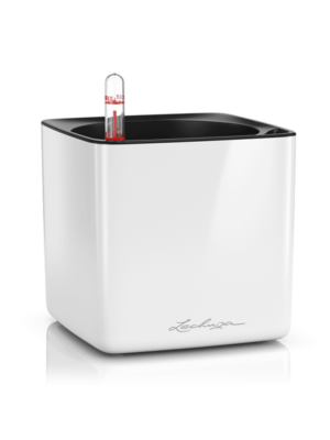 Lechuza Cube Glossy 14