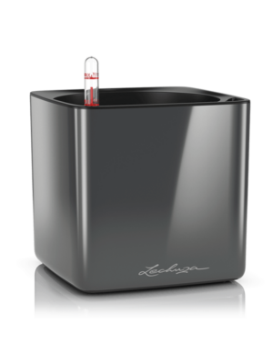 Lechuza Cube Glossy 16