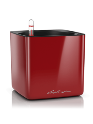 Lechuza Cube Glossy 16