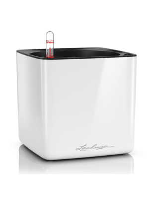 Lechuza Cube Glossy 16