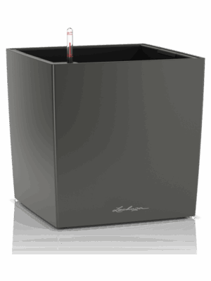 Lechuza Premium Cube 30