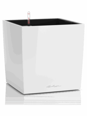 Lechuza Premium Cube 30