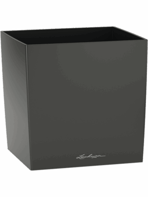 Lechuza Cube Premium
