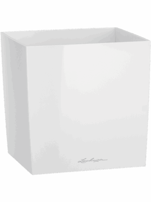 Lechuza Cube Premium