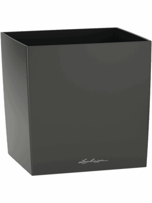 Lechuza Cube Premium