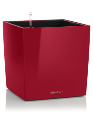 Lechuza Premium Cube 50