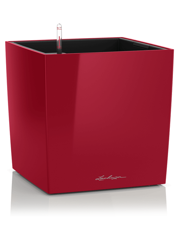 Lechuza Premium Cube 50