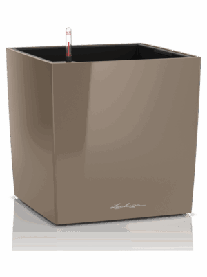 Lechuza Premium Cube 50