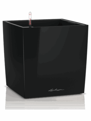 Lechuza Premium Cube 50