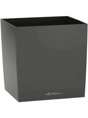 Lechuza Cube Premium