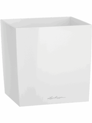 Lechuza Cube Premium