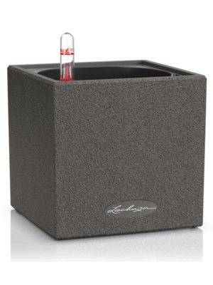 Lechuza Canto Stone 14
