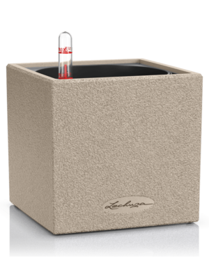 Lechuza Canto Stone 14