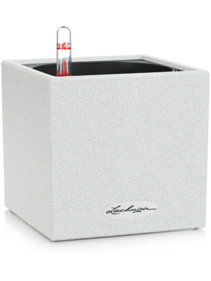 Lechuza Canto Stone 14