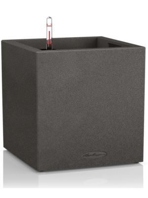 Lechuza Canto Stone 30 Low