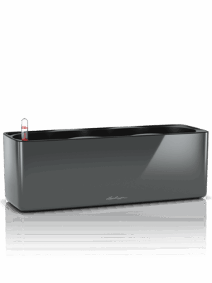 Lechuza Cube Glossy Triple