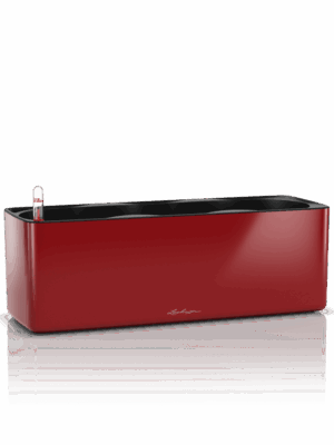 Lechuza Cube Glossy Triple