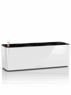 Lechuza Cube Glossy Triple