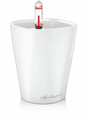 Lechuza Mini-Deltini