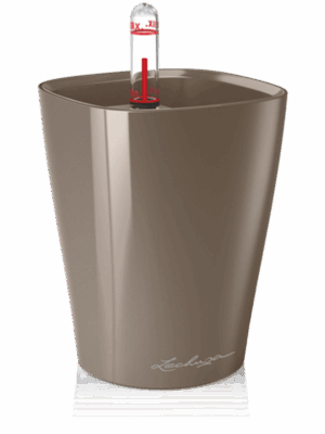 Lechuza Mini-Deltini