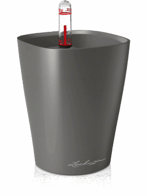 Lechuza Mini-Deltini