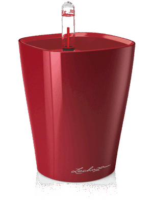 Lechuza Mini-Deltini