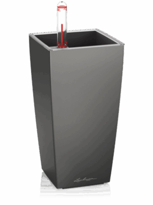 Lechuza Mini-Cubi (8/carton)